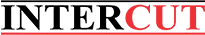 Intercut CZ logo